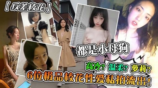 CVV-228 反差校花都是小母狗温柔萝莉6位极品枝花性爱私拍流出